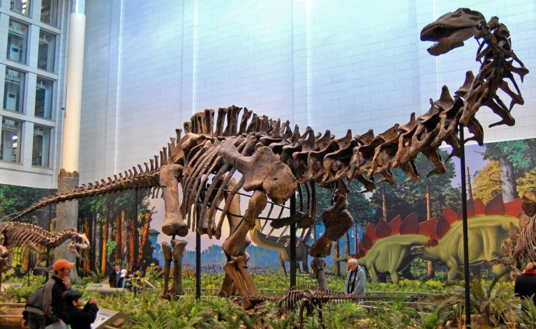 Dinosaurios brontosaurio apatosaurio sauróodos